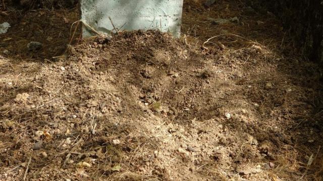 Toprağa gömülü bebek olayının arkasından yasak aşk çıktı: Bebekten kurtulmak için annemle bu planı yaptık