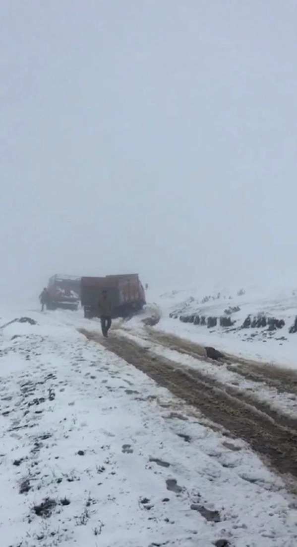 Ardahan'da kar nedeniyle yaylada mahsur kalan çobanlar ve sürüler kurtarıldı