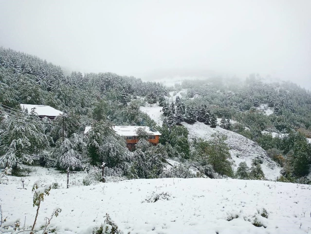 Artvin'de kar yağdı, yaylalar beyaza büründü