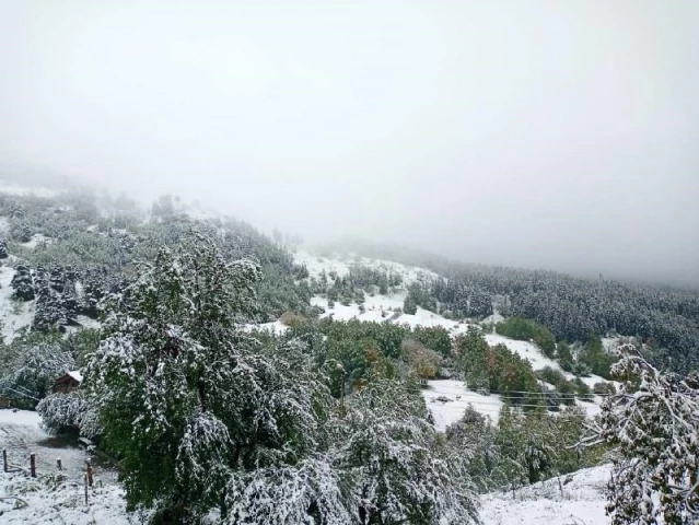 Artvin'de kar yağdı, yaylalar beyaza büründü