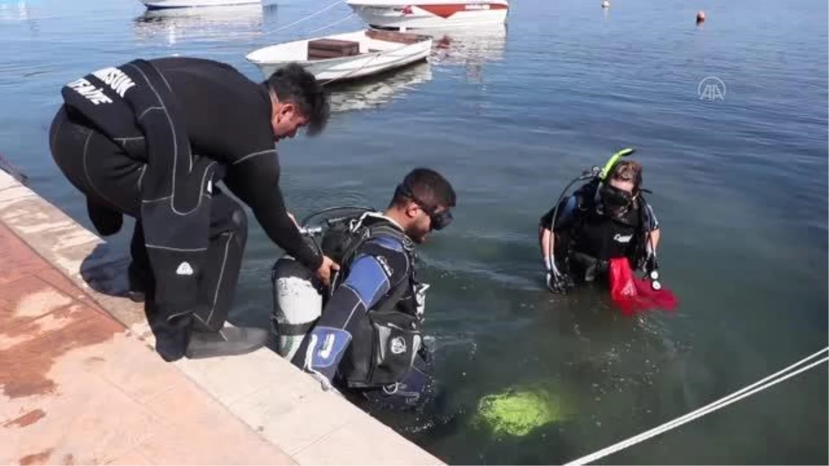 Balık ve kurbağa adamlar denizde, gönüllüler ise kıyıda temizlik yaptı