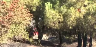 Son dakika haberi! Bayrampaşa Meyve ve Sebze halinin yanında korkutan yangın