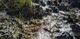 Erzurum'da soğuk hava nedeniyle dere buz tuttu