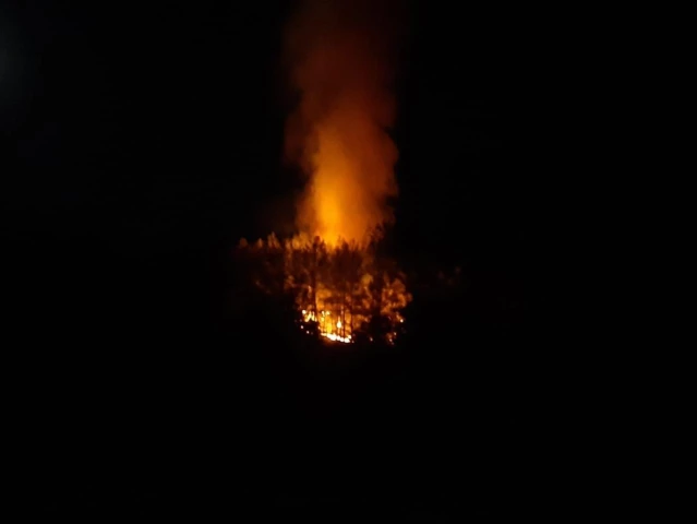 Son dakika haberi... Fethiye'de çıkan orman yangını söndürüldü