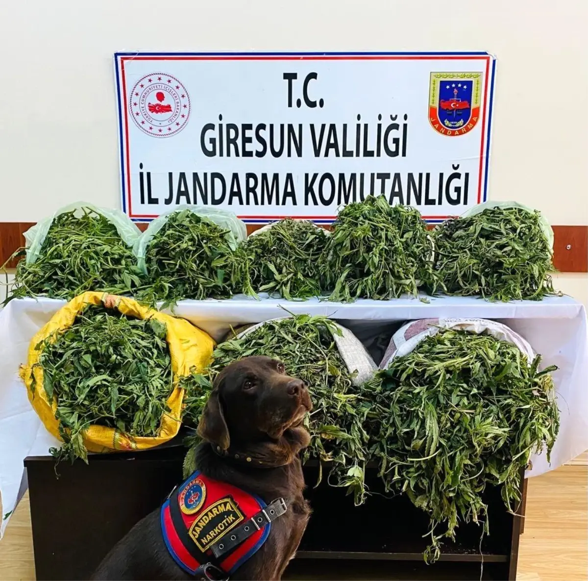 Giresun\'da 26 kilogram kubar esrar yakalandı