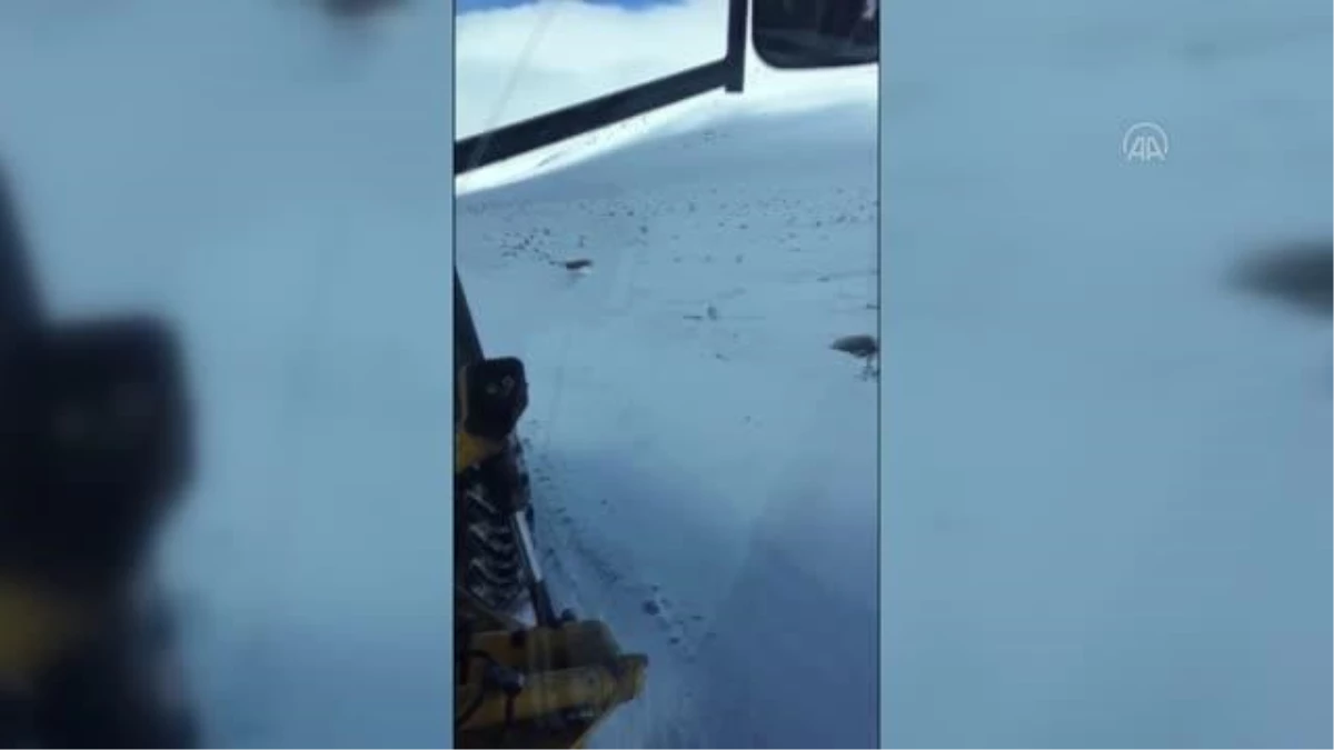 Kar yağışına hazırlıksız yakalanan yaylacılara ekipler yetişti