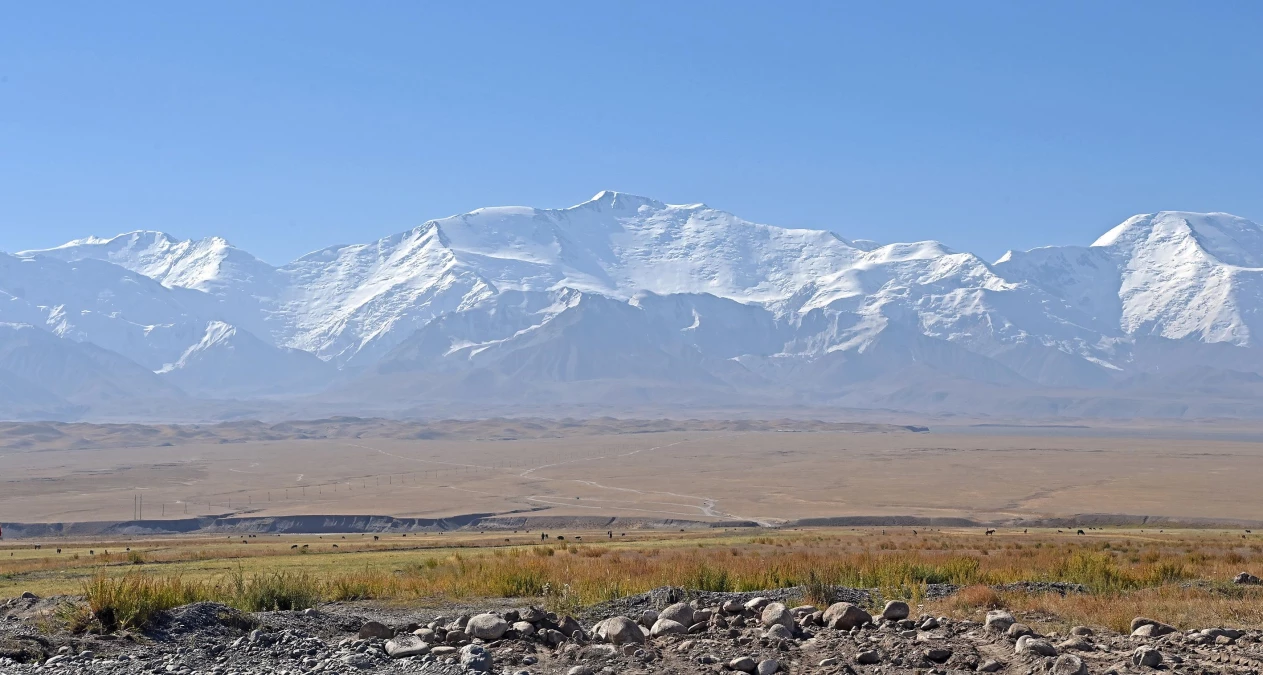 Kırgızistan, Afganistan\'da kalan Kırgızları anavatana getirecek