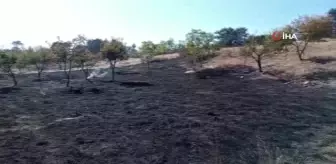 Otluk alanda çıkan yangın büyümeden söndürüldü