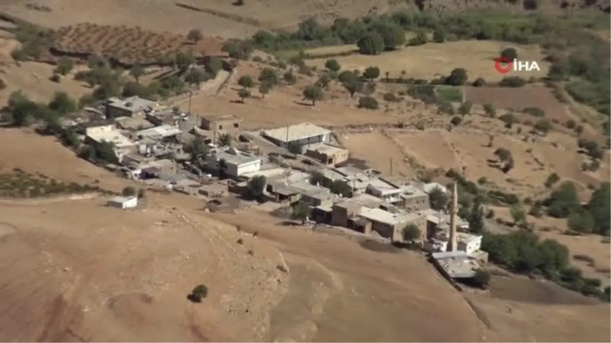 Tehlikeye aldırmadan uçurumlardan kaya balı topluyorlar