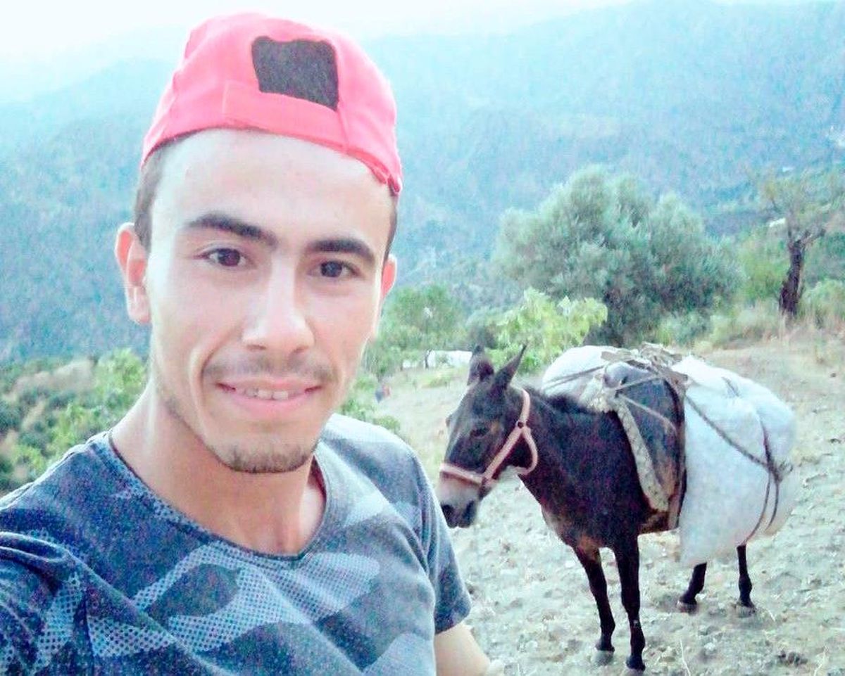 Aydın\'da yük hayvanları değerini koruyor