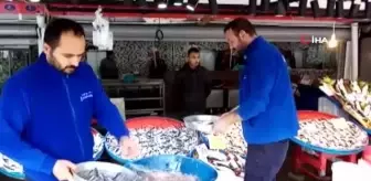 Balık fiyatları cep yakıyor: Hamsinin fiyatı 40 liraya dayandı