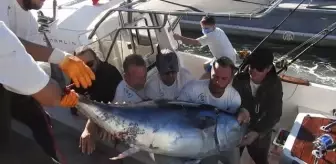 Big Fish Türkiye Turnuvası sona erdi