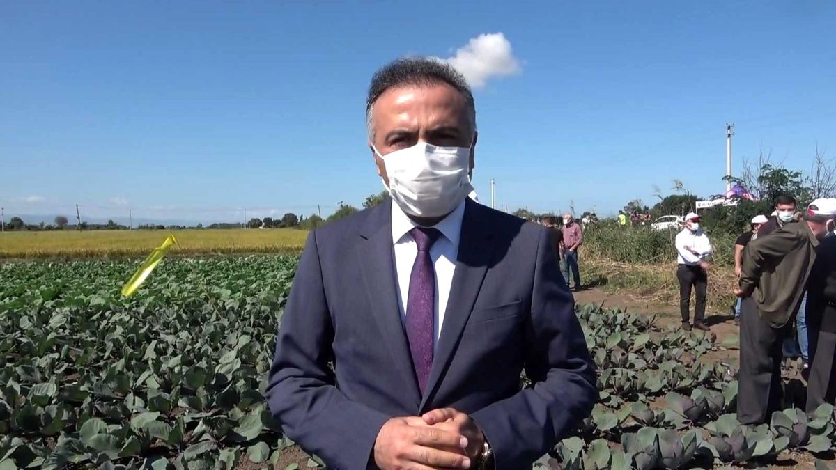 Daire Başkanı Dilber: "Analiz sorununu çözeceğiz"