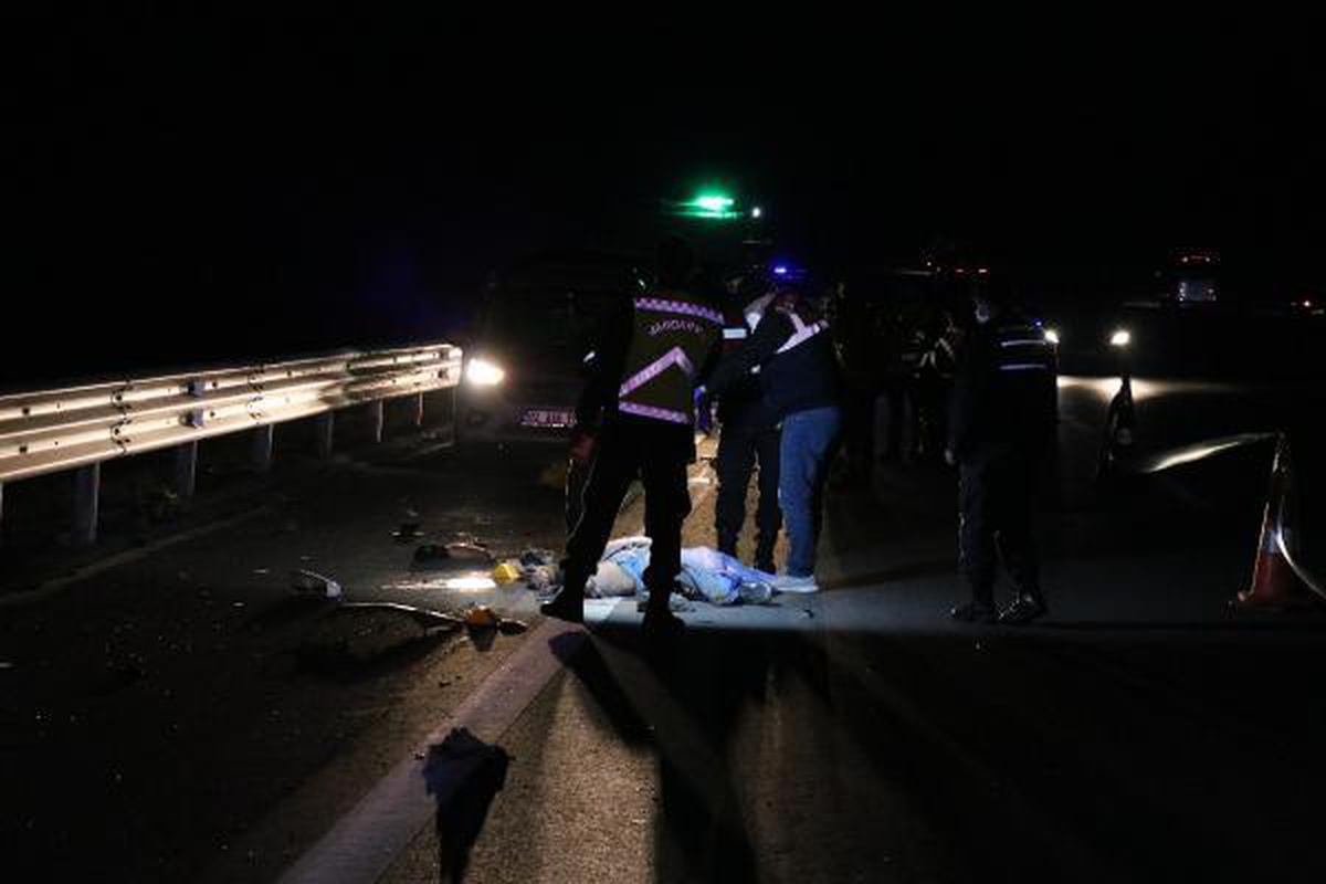 Lastik değiştirirken kamyonet çarpmasıyla ağabeyi ölen kardeş de kurtarılamadı