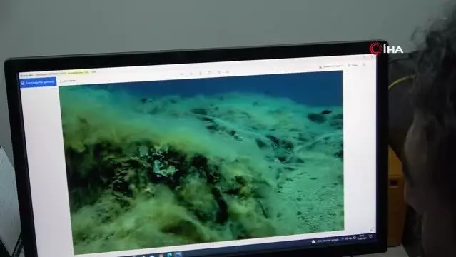 Mersin sahilleri müsilaj tehlikesi altında