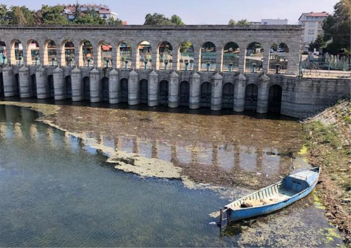 ONLARCA CANLININ YAŞAM ALANI SAZLIKLAR, BEYŞEHİR GÖLÜ\'NÜ KORUMA ADINA KESİLDİ