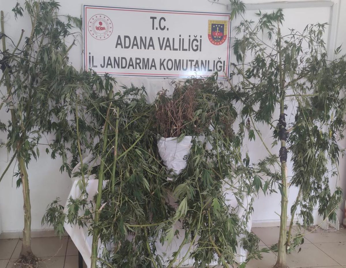 Adana\'da evinde esrar ve kenevir ele geçirilen şüpheli gözaltına alındı