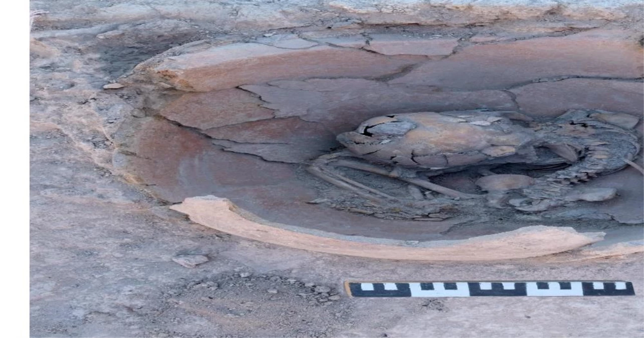 Son dakika... Arslantepe Höyüğü\'nde MÖ 3600 yılından kalma 2 çocuk iskeleti bulundu