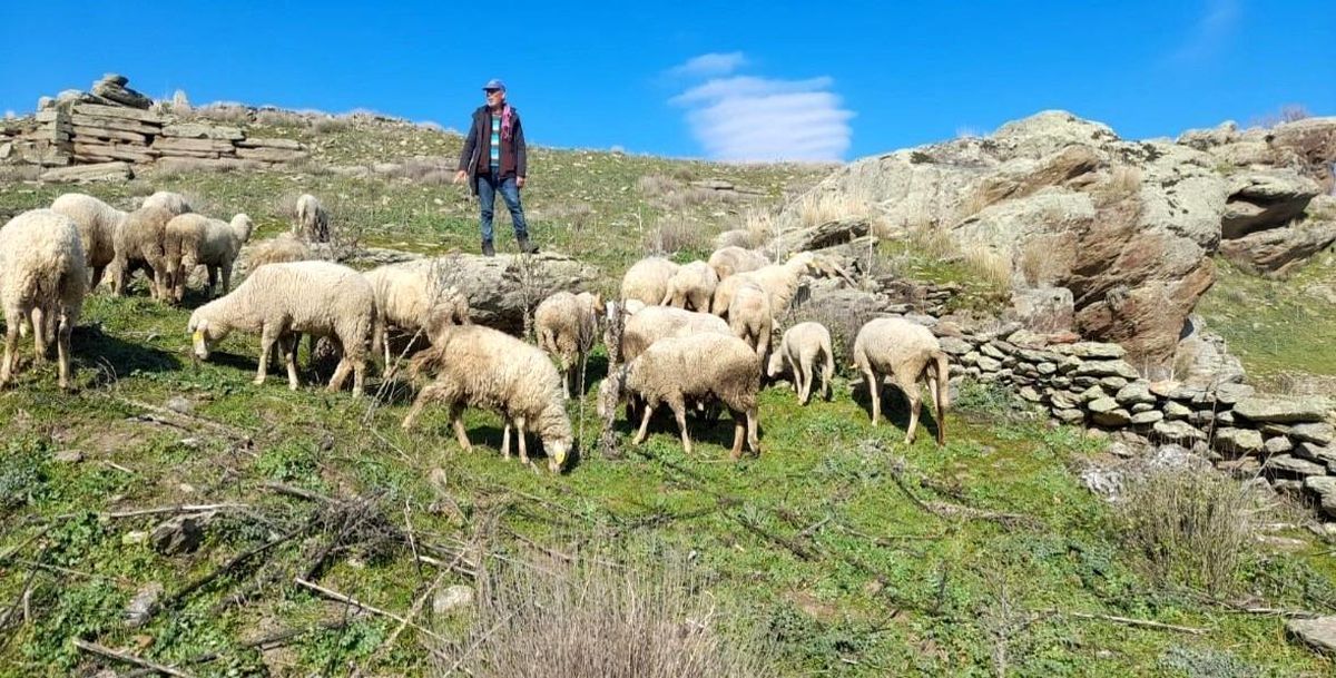 Aydın\'da eski hükümlüler patron oldu
