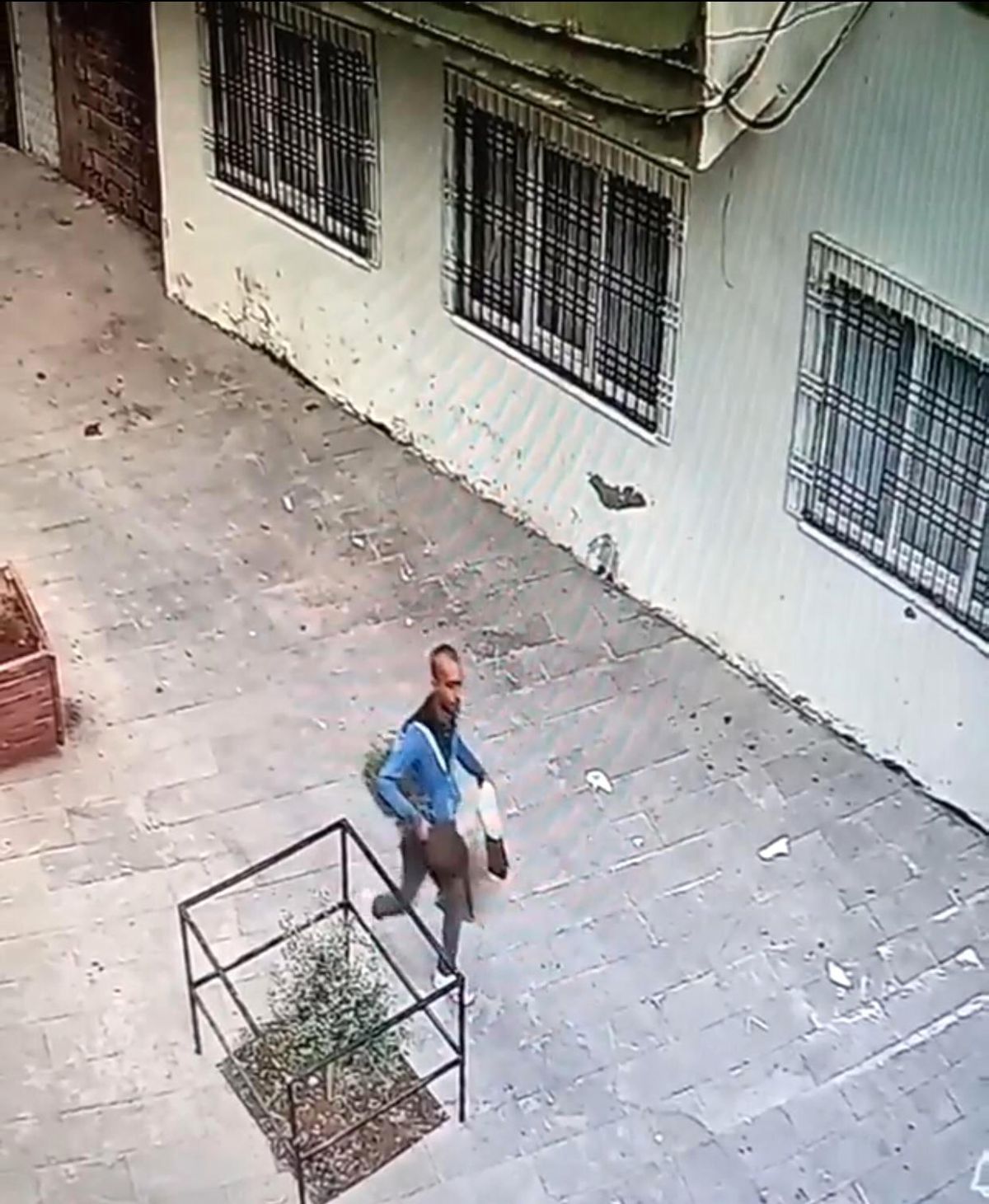 Batman\'da hırsızlar fide ağaçlarını çaldı
