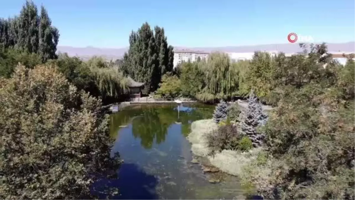 Erzurum sonbaharın renklerine büründü