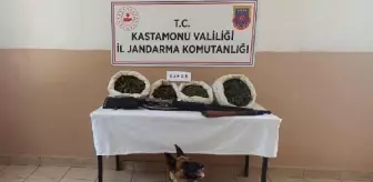 Evinde uyuşturucu yetiştiren zehir taciri tutuklandı