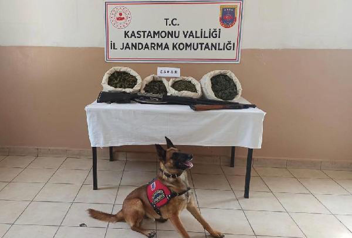 Evinde uyuşturucu yetiştiren zehir taciri tutuklandı
