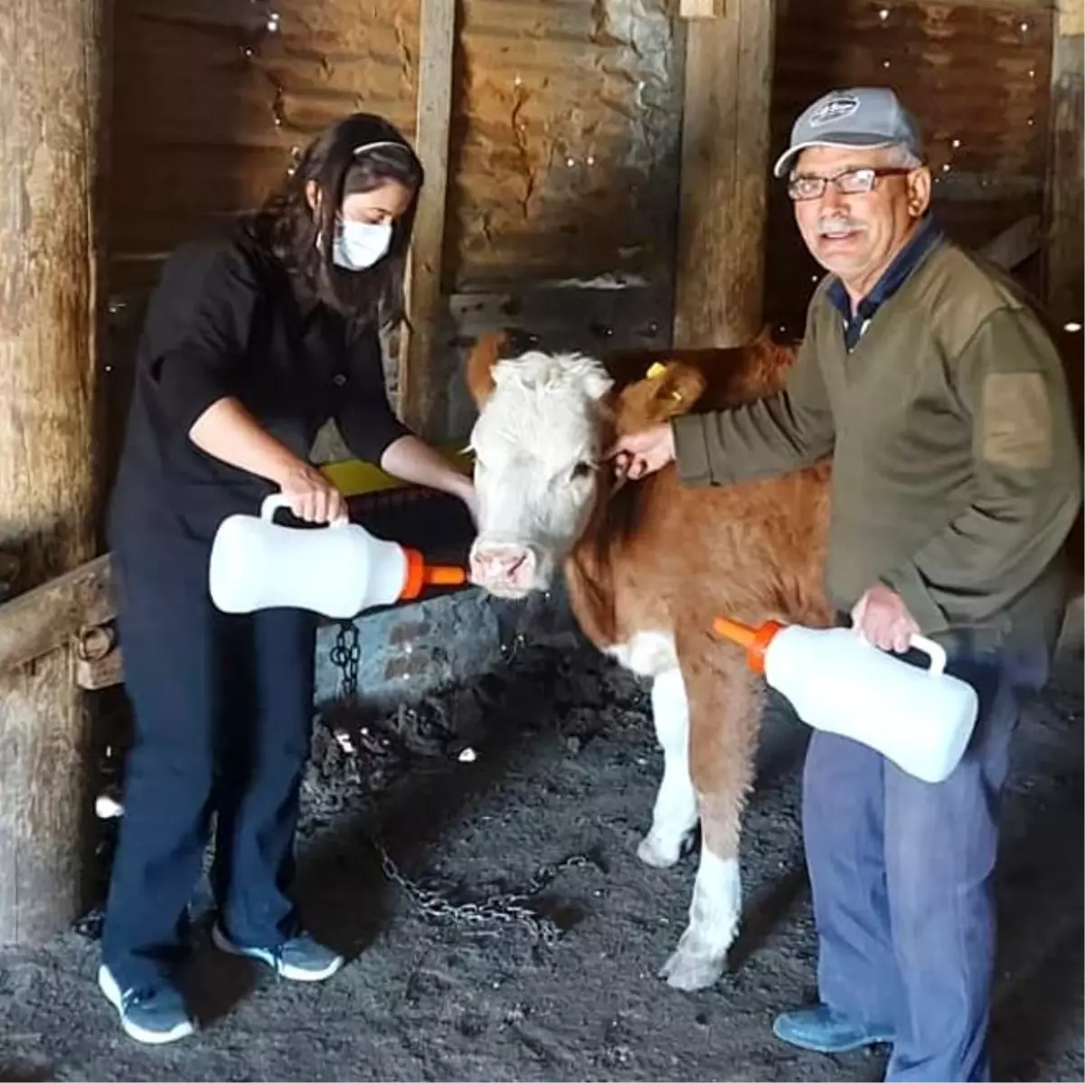 İmranlı\'da Yaşasın Buzağılar Projesi kapsamında biberon dağıtıldı