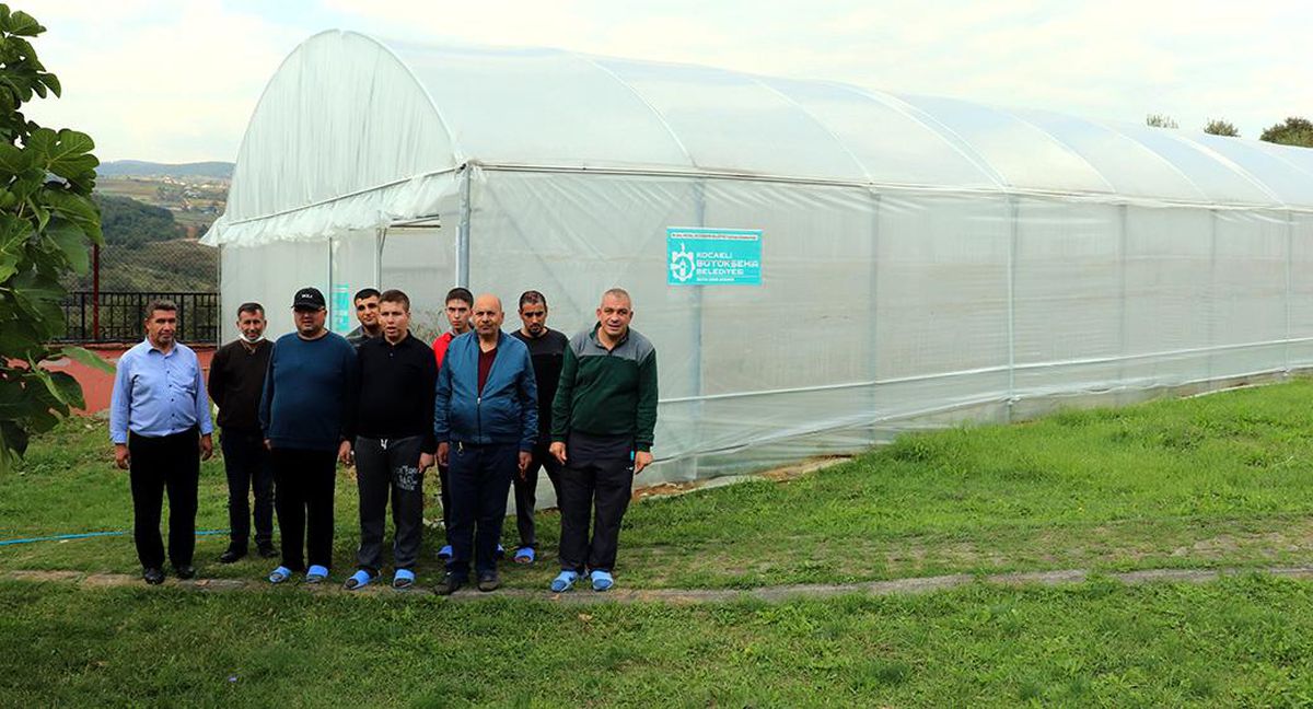 Kocaeli\'de "özel bireyler" serada sebze yetiştirerek rehabilite ediliyor