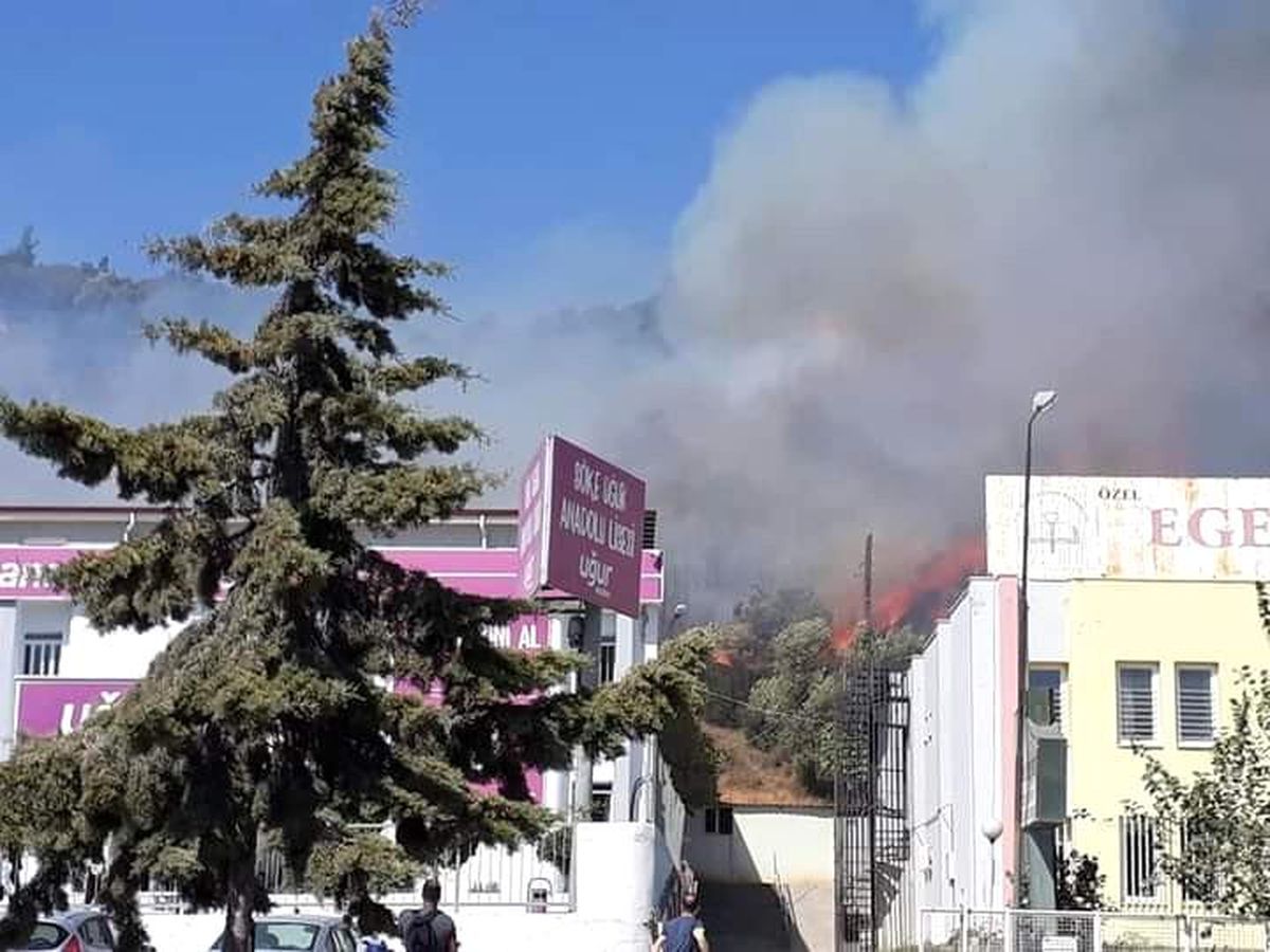 Son dakika haberleri: Söke\'de orman yangını