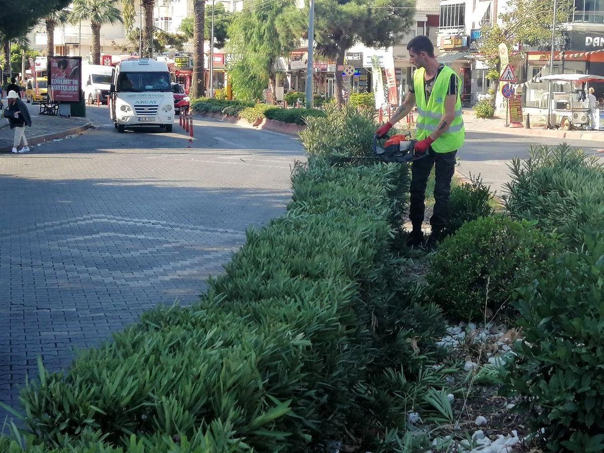 Sonbahar bakımı başladı