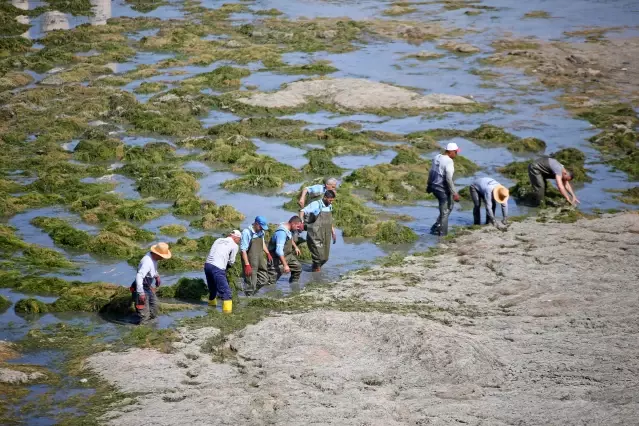 Adana Seyhan Nehri'nde temizlik çalışması yapılıyor