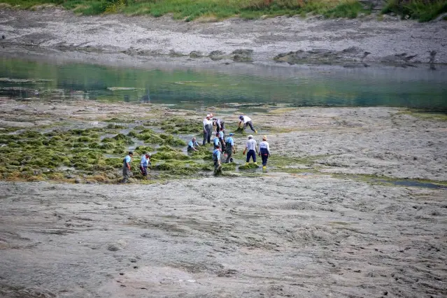 Adana Seyhan Nehri'nde temizlik çalışması yapılıyor