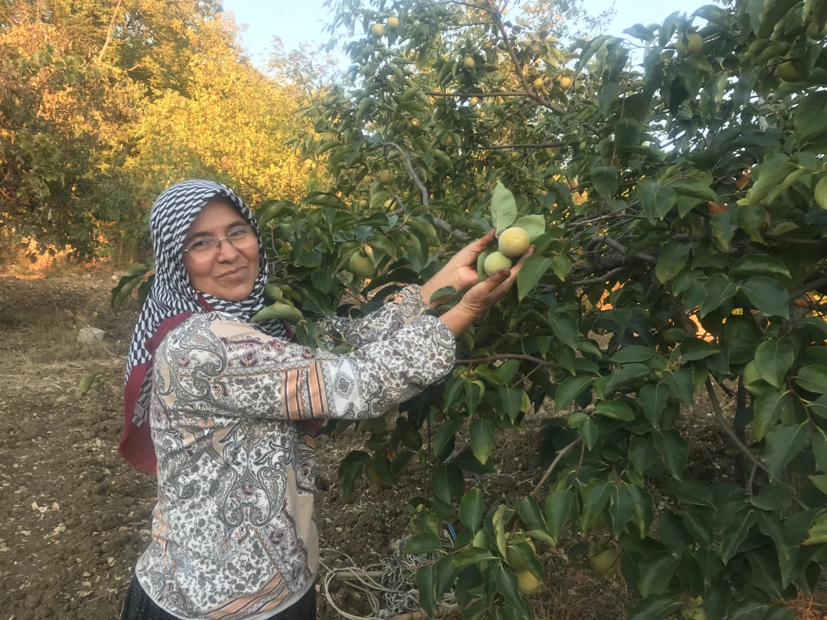 Aladağlı kadınların kış hazırlıkları başladı