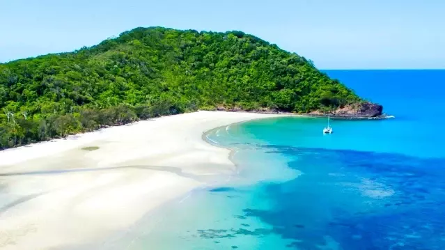 Daintree: Avustralya'da dünyanın en eski tropikal yağmur ormanı yerlilere iade edildi Daintree: Avustralya'da dünyanın en eski tropikal yağmur ormanı yerlilere iade edildi