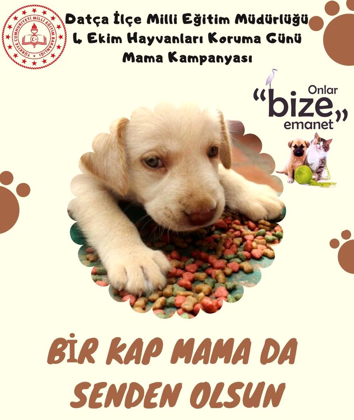 Datça İlçe Milli Eğitim\'den mama kampanyası