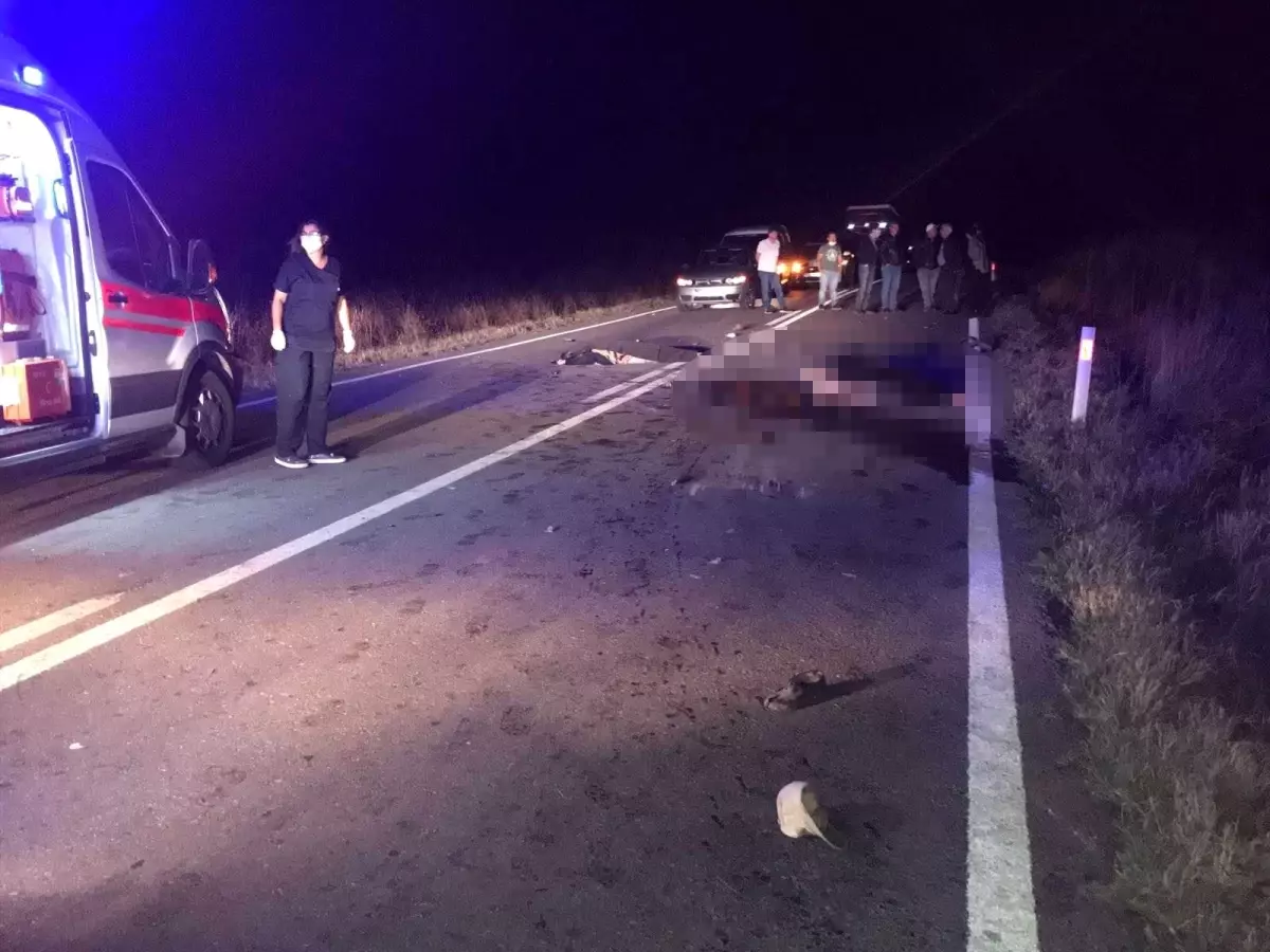 Yaralananların yardımına koşan 2 kişi başka bir aracın altında kalarak hayatını kaybetti