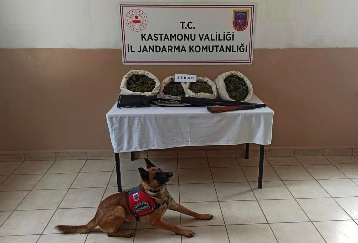 Evinde esrar yetiştiren zehir taciri tutuklandı