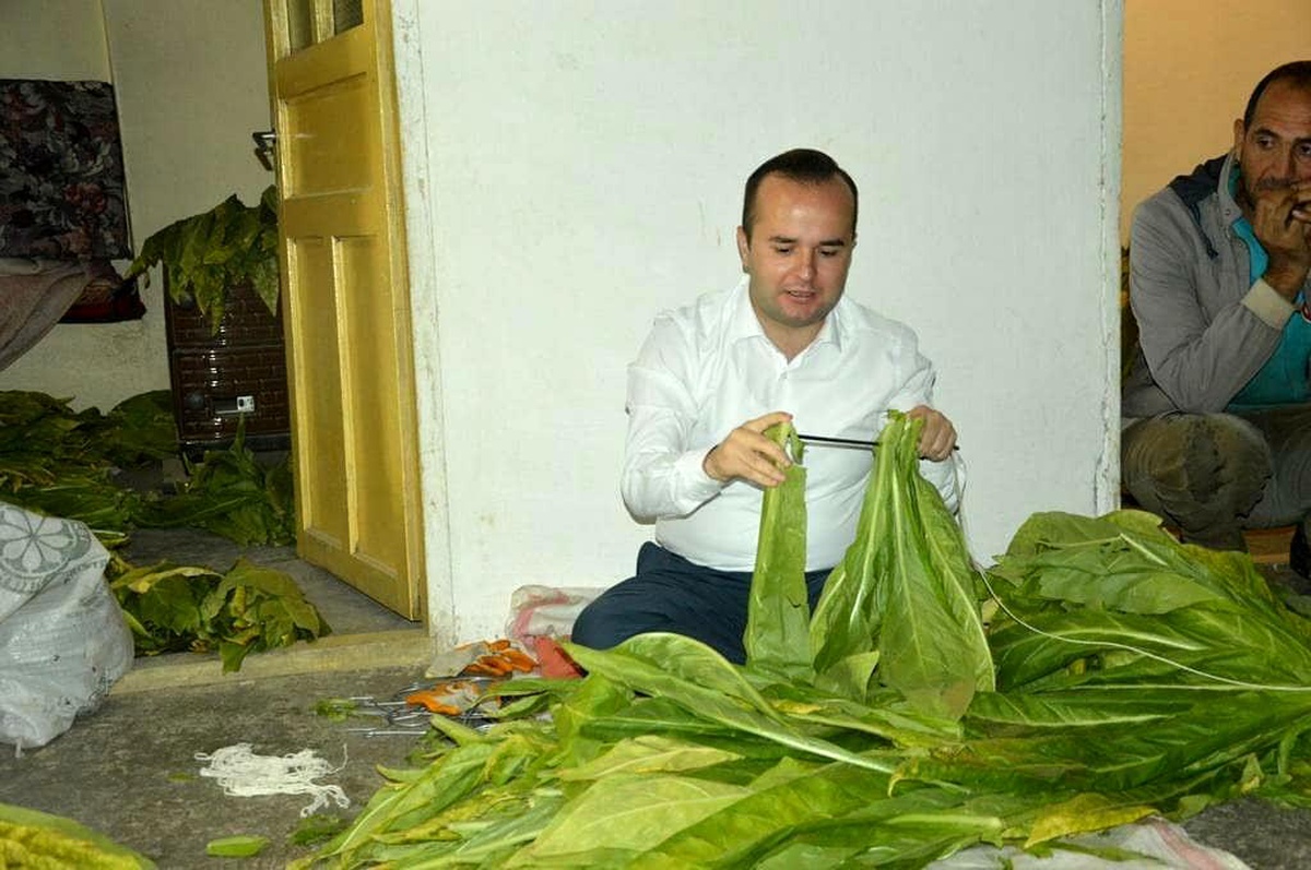 Kaymakam Arslantürk, tütün biçti, şişe sapladı