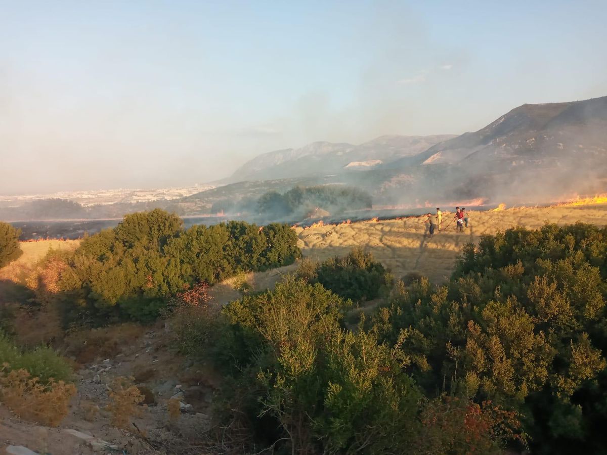 Son dakika haber! Manisa\'da makilik alanda çıkan yangın söndürüldü