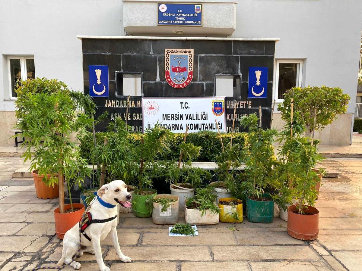 Son dakika haberi! Mersin\'de uyuşturucu operasyonu