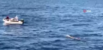 Mersin'den Kıbrıs'a tek başına yüzecek