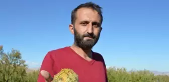 'Yetişmez' diyenlere inat bahçesinde Afrika kavunu yetiştirdi