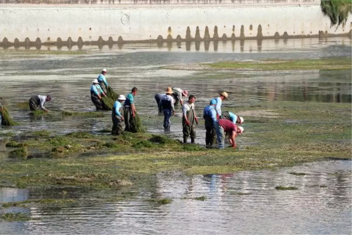 YOSUNLA KAPLANAN SEYHAN NEHRİ\'NDE DİP TEMİZLİĞİ