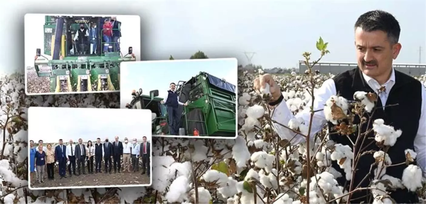 Bakan Pakdemirli biçerdövere binip pamuk hasat etti