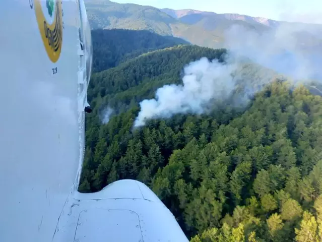 Hatay'daki orman yangını kontrol altına alındı Hatay'daki orman yangını kontrol altına alındı