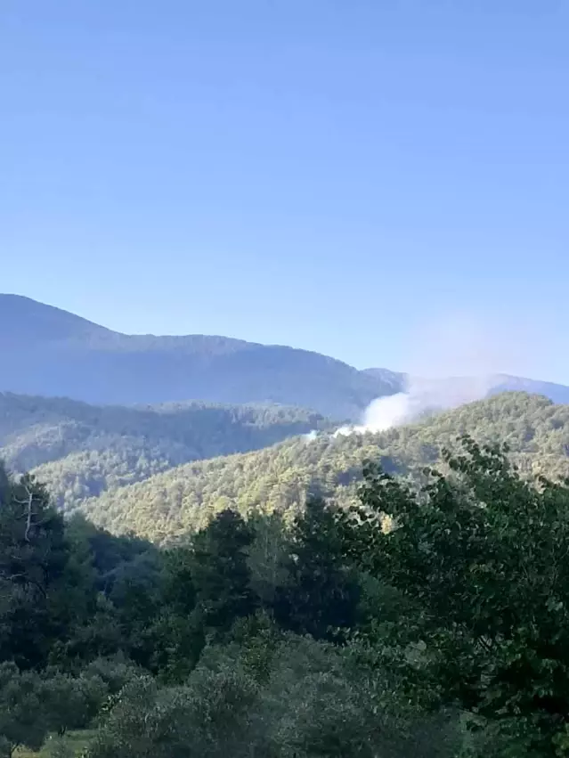 Hatay'daki orman yangını kontrol altına alındı Hatay'daki orman yangını kontrol altına alındı