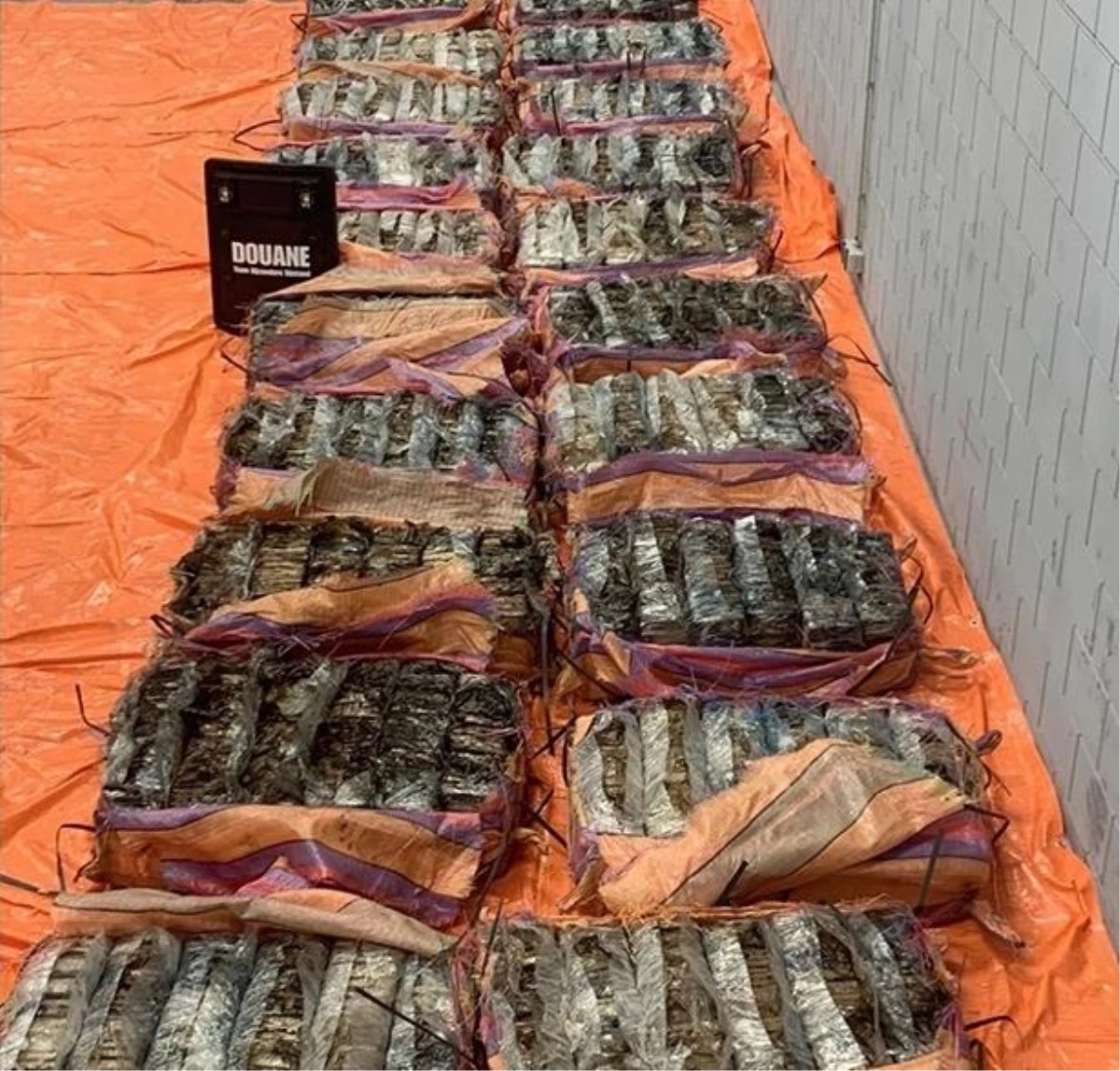 Hollanda\'nın Rotterdam Limanında 1400 kilogram kokain ele geçirildi