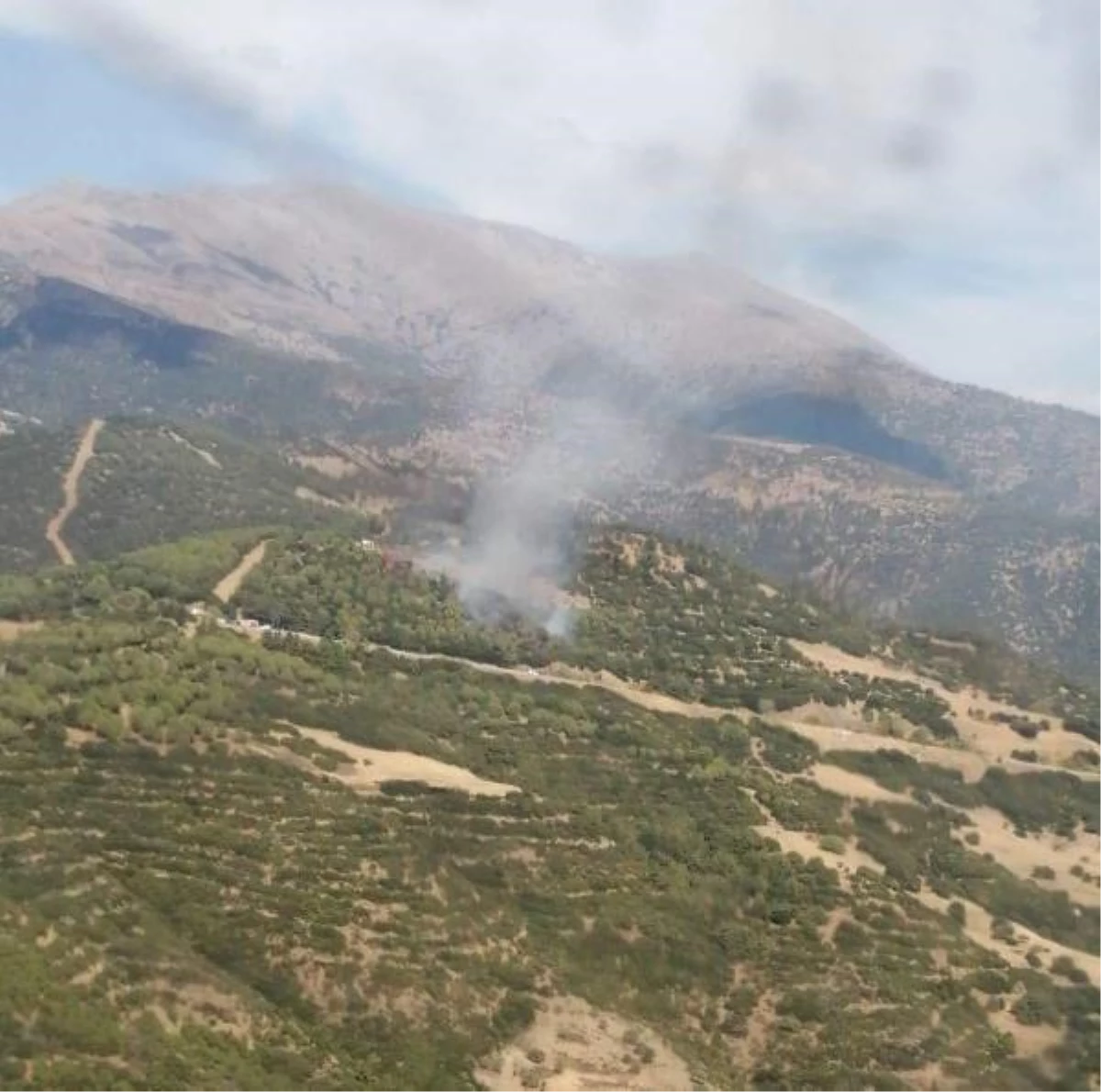 Son dakika haberleri | İzmir\'in iki ilçesinde orman ve makilik yangını (1)