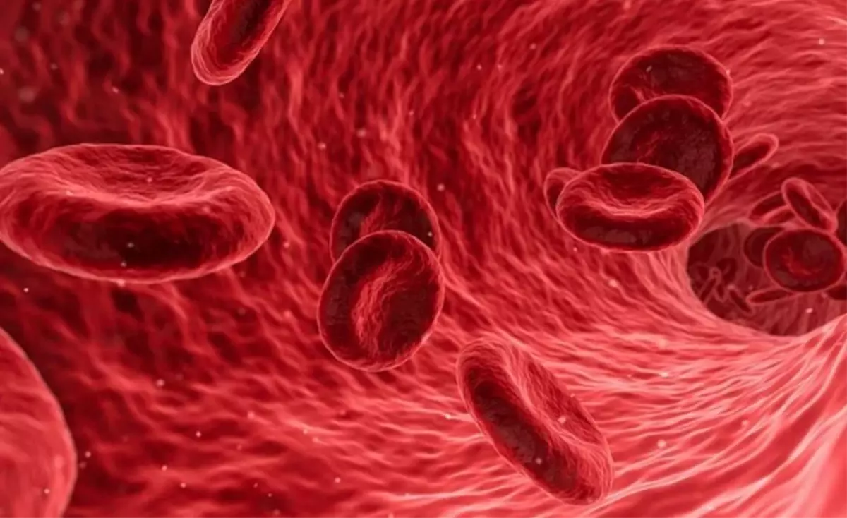 Kolesterol nedir? Kolesterol yükselten yiyecekler nelerdir? Kolesterolü ne düşürür? Kolesterol belirtileri